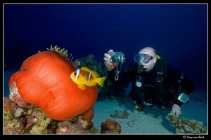Nemo captured... by Dray Van Beeck 